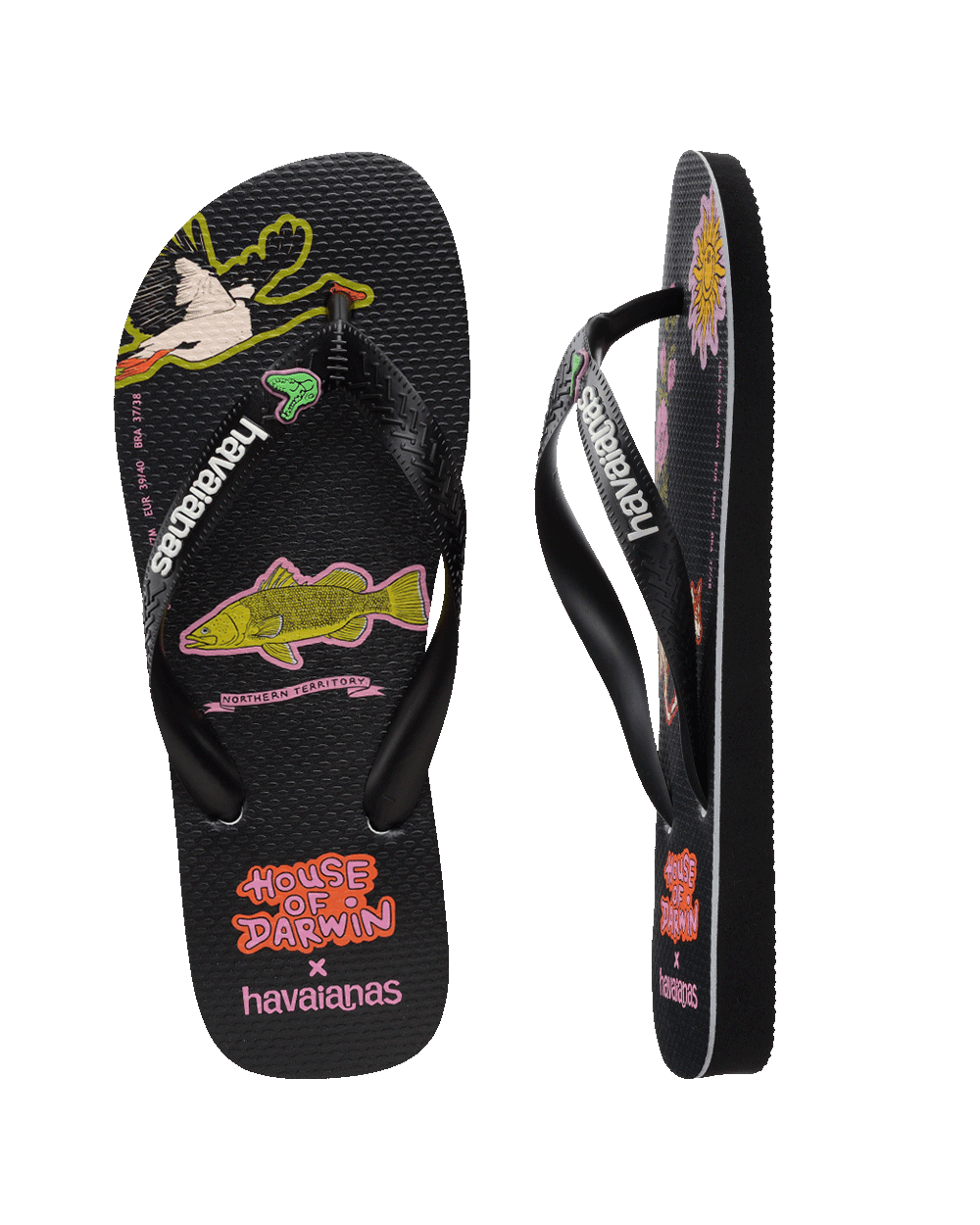 Havaianas top wild online